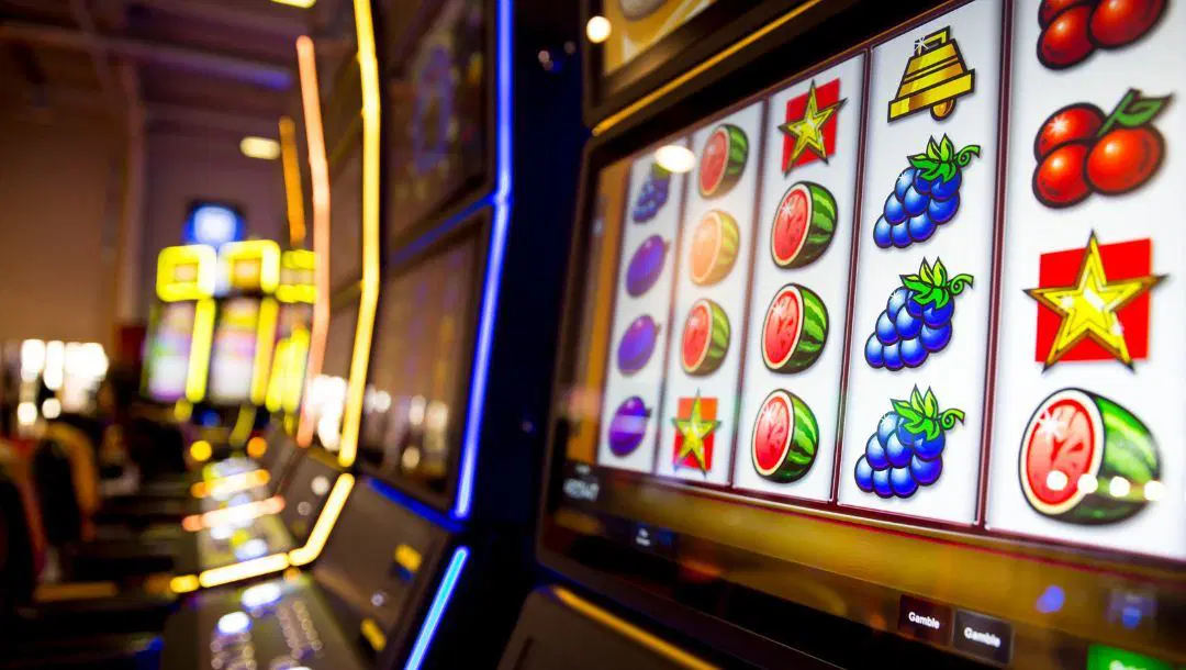 Cara Baca Volatilitas Slot Biar Gak Salah Pilih Game